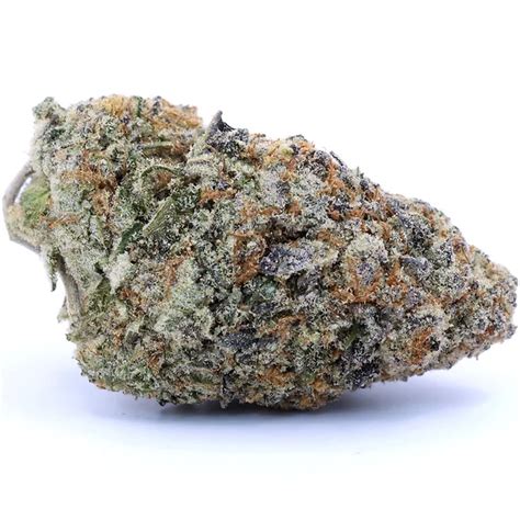 coco chanel strain|coco freeze strain.